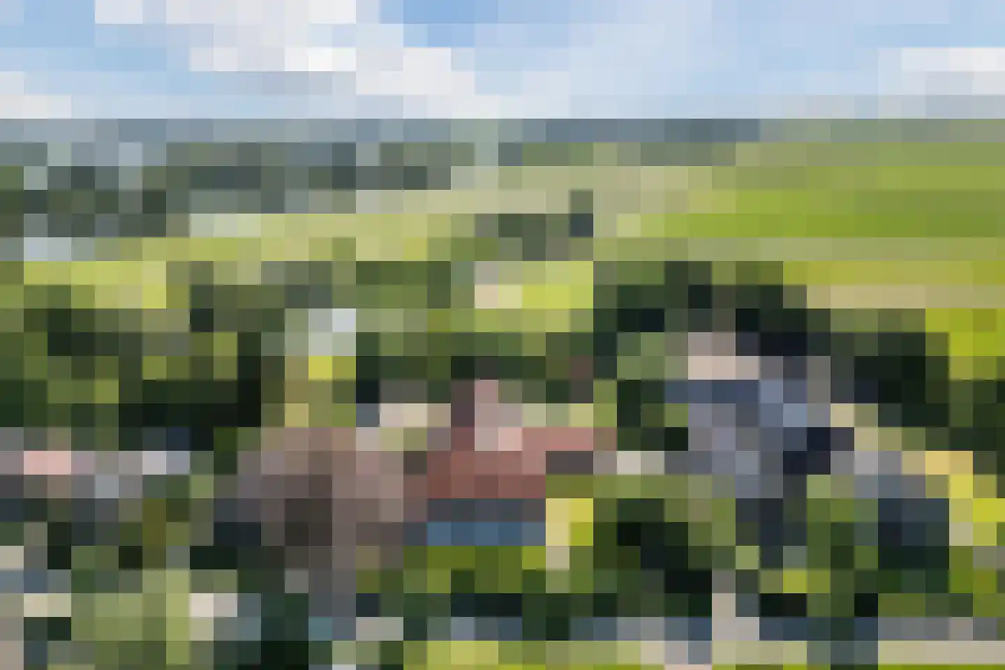 de Zande 40 Kamperveen thumbnail 91