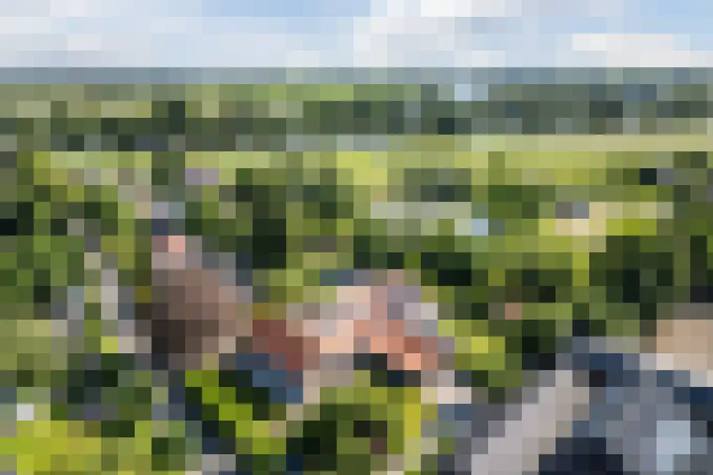 de Zande 40 Kamperveen thumbnail 92