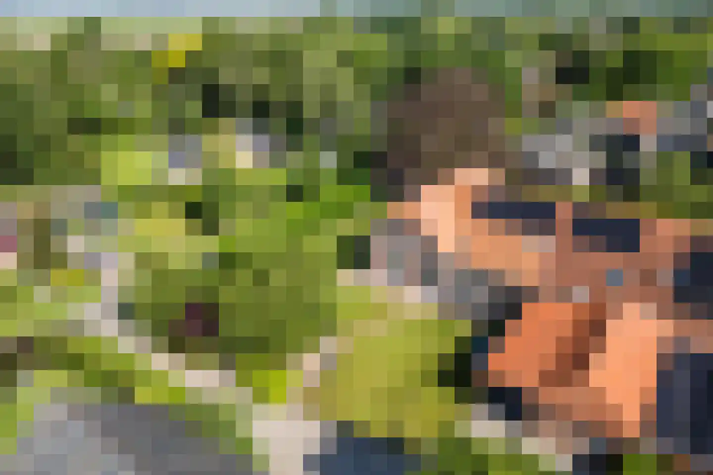 de Zande 40 Kamperveen thumbnail 93