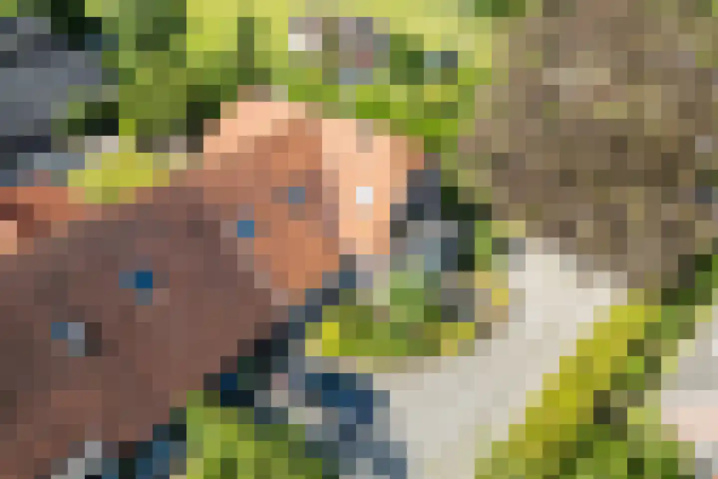 de Zande 40 Kamperveen thumbnail 95