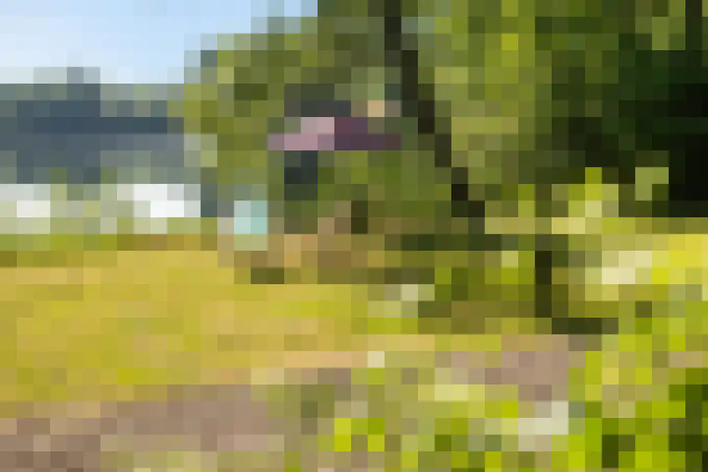 de Zande 616 Kamperveen thumbnail 10