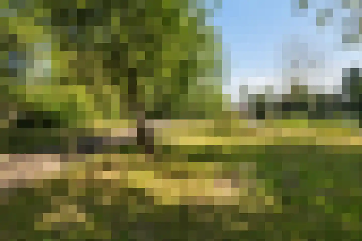 de Zande 616 Kamperveen thumbnail 11