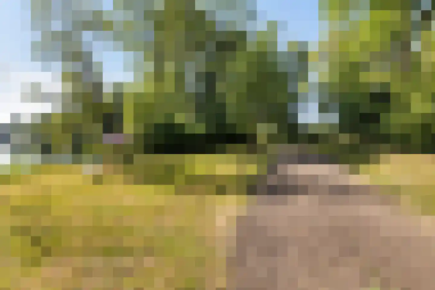 de Zande 616 Kamperveen thumbnail 12