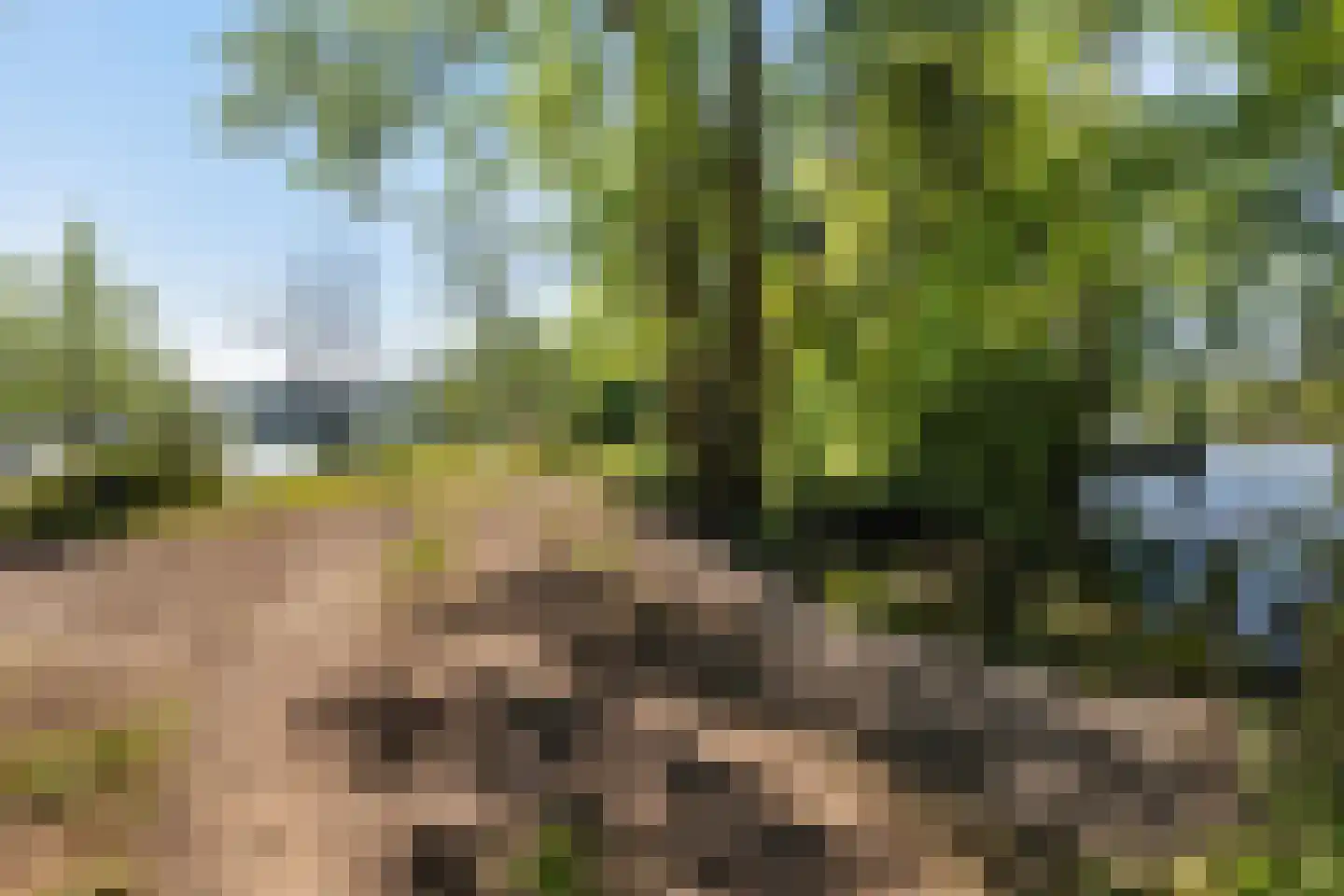 de Zande 616 Kamperveen thumbnail 13