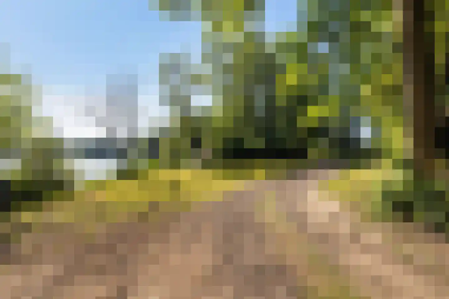 de Zande 616 Kamperveen thumbnail 15