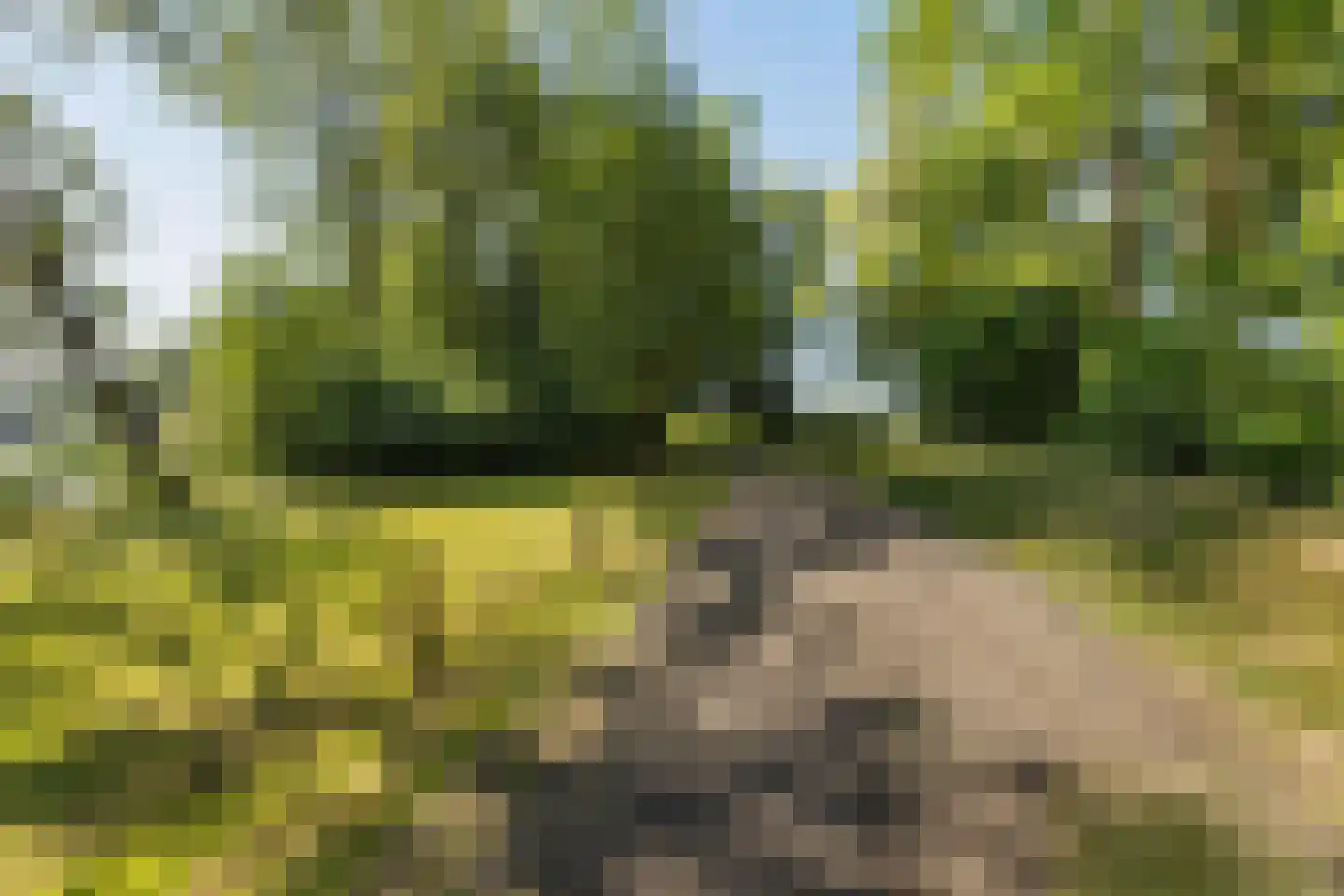 de Zande 616 Kamperveen thumbnail 16