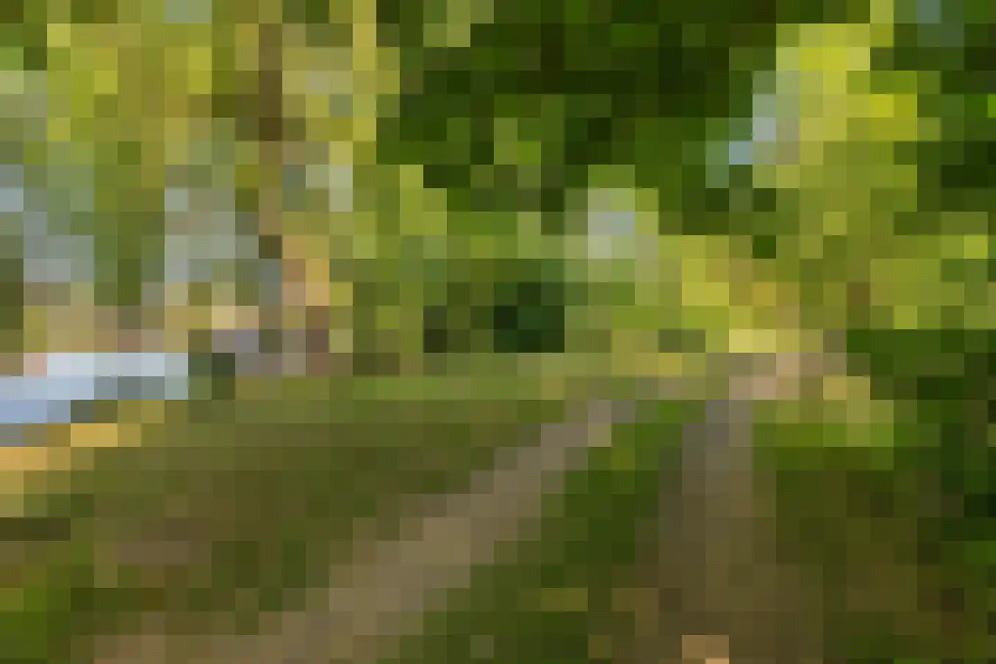 de Zande 616 Kamperveen thumbnail 17