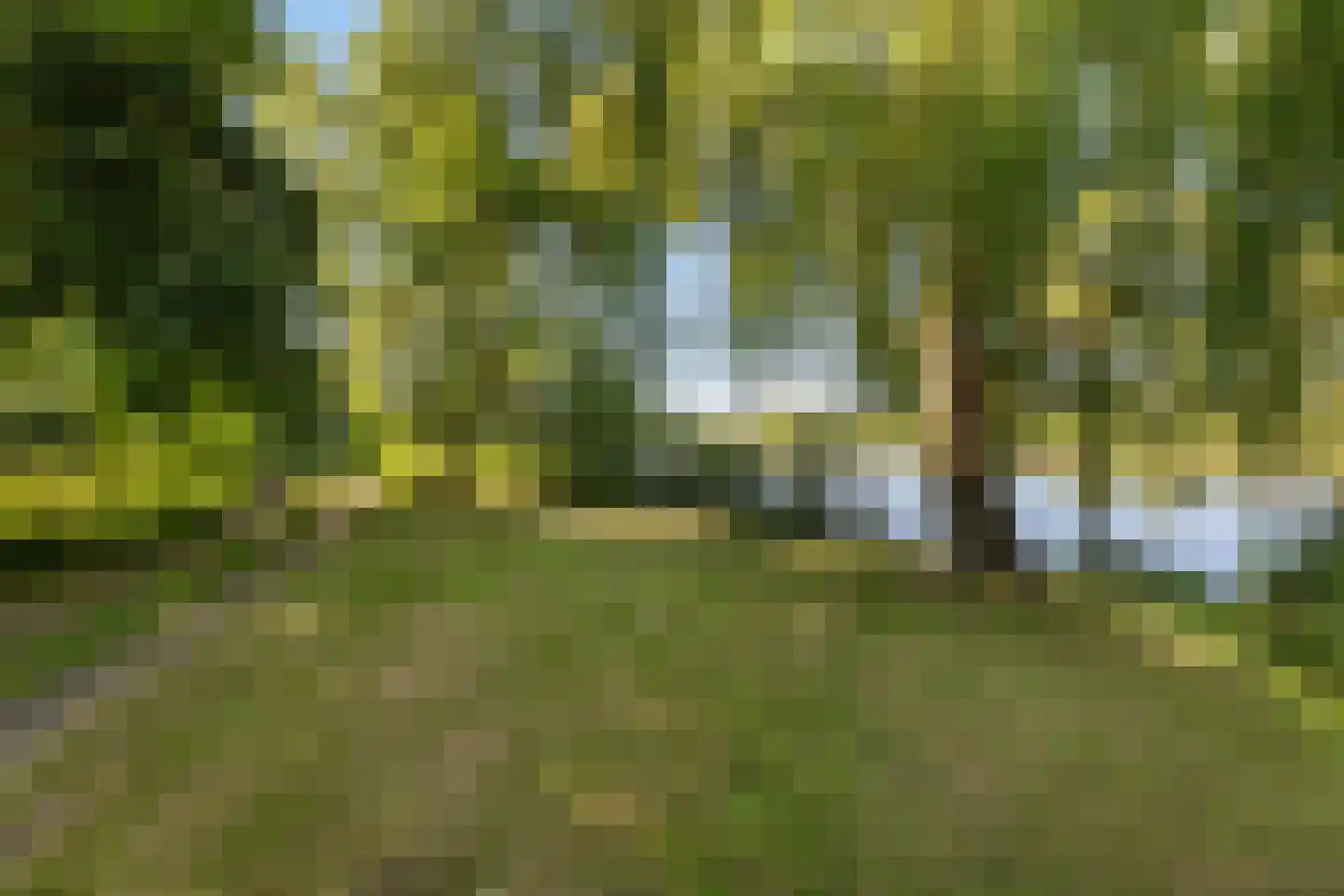 de Zande 616 Kamperveen thumbnail 18