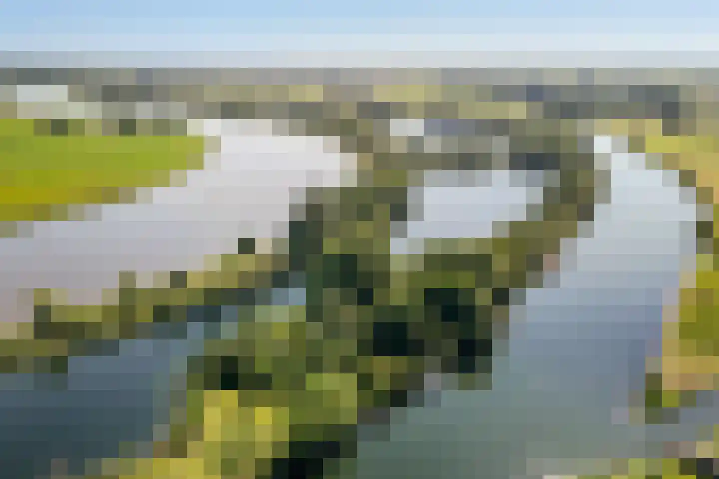 de Zande 616 Kamperveen thumbnail 20