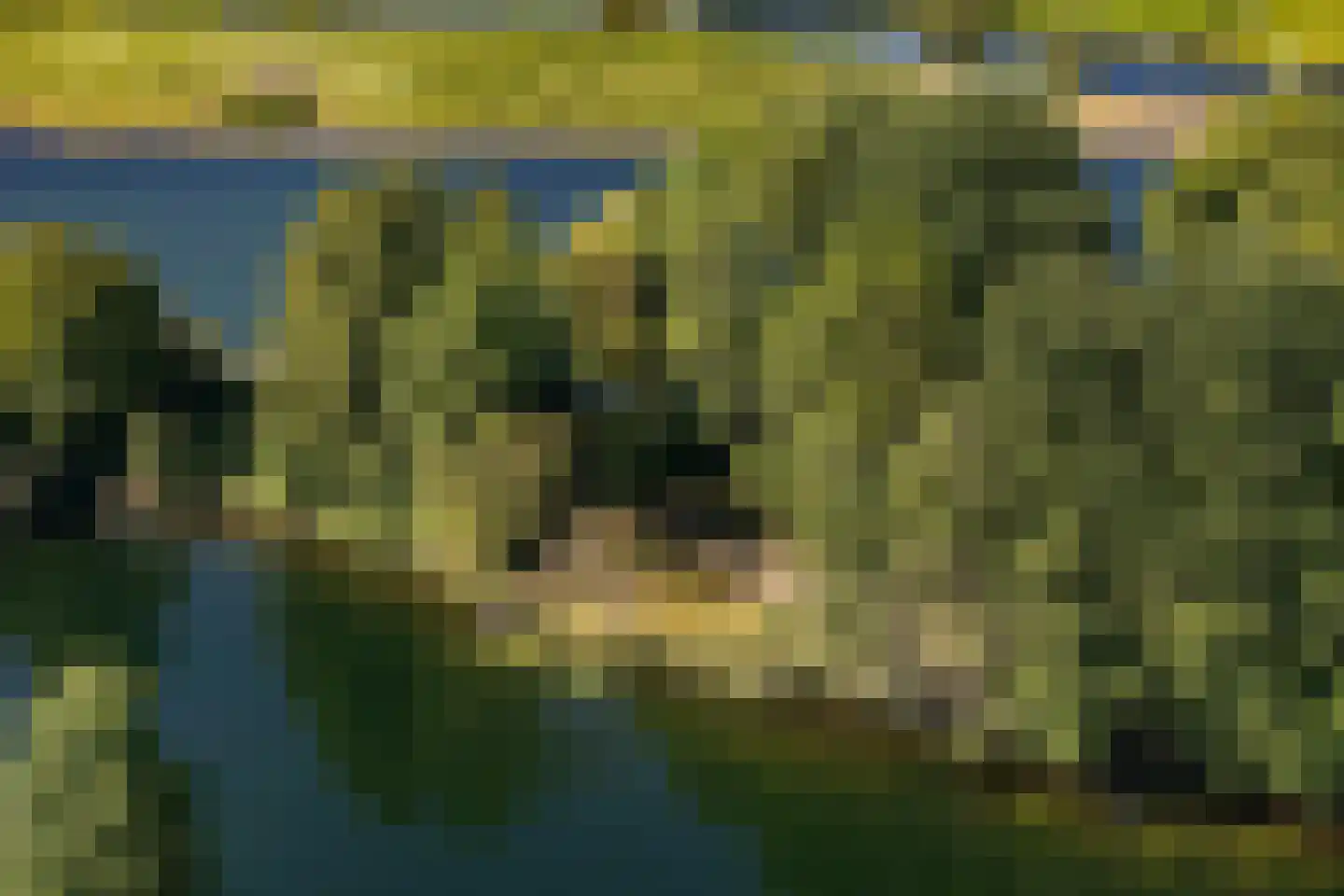 de Zande 616 Kamperveen thumbnail 4
