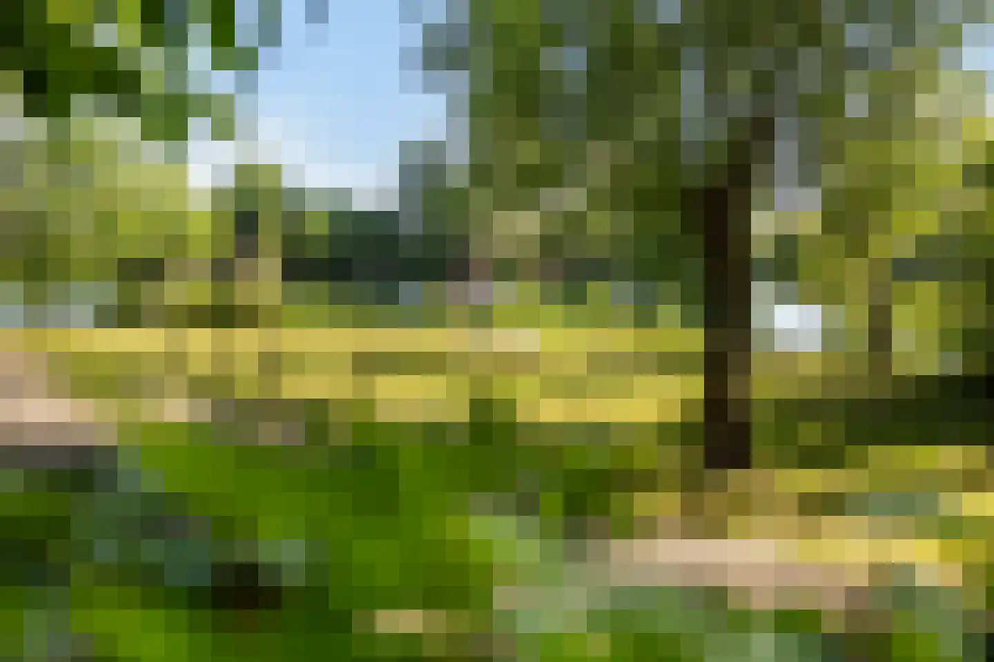 de Zande 616 Kamperveen thumbnail 6