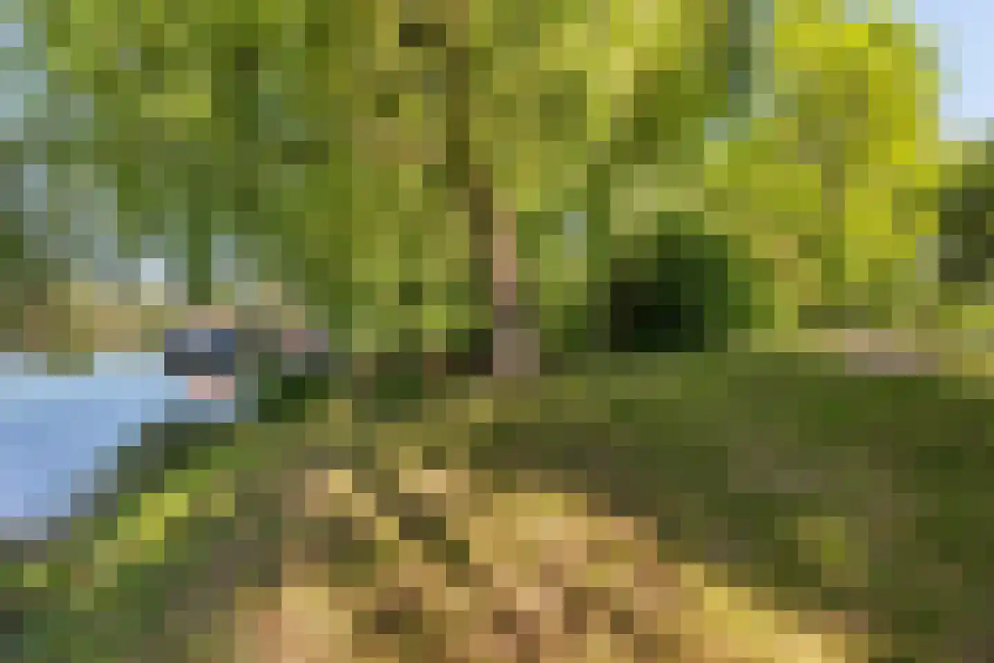 de Zande 616 Kamperveen thumbnail 7