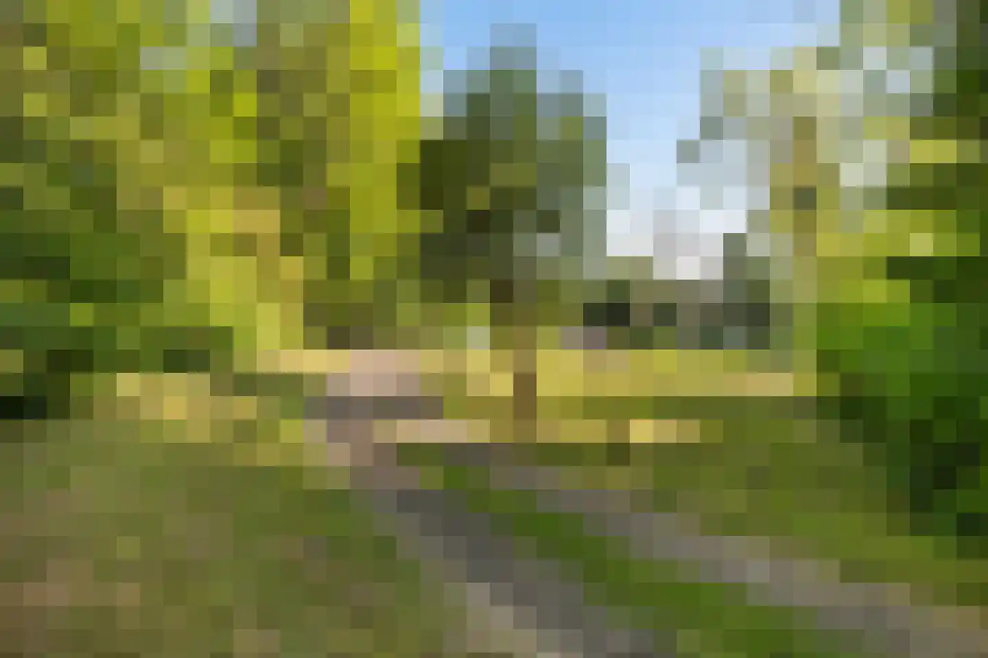 de Zande 616 Kamperveen thumbnail 8