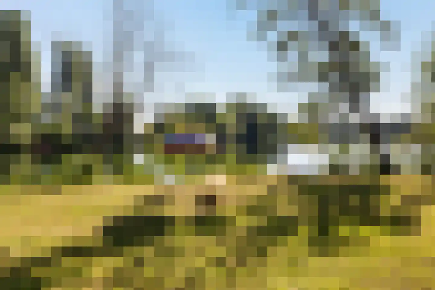 de Zande 616 Kamperveen thumbnail 9