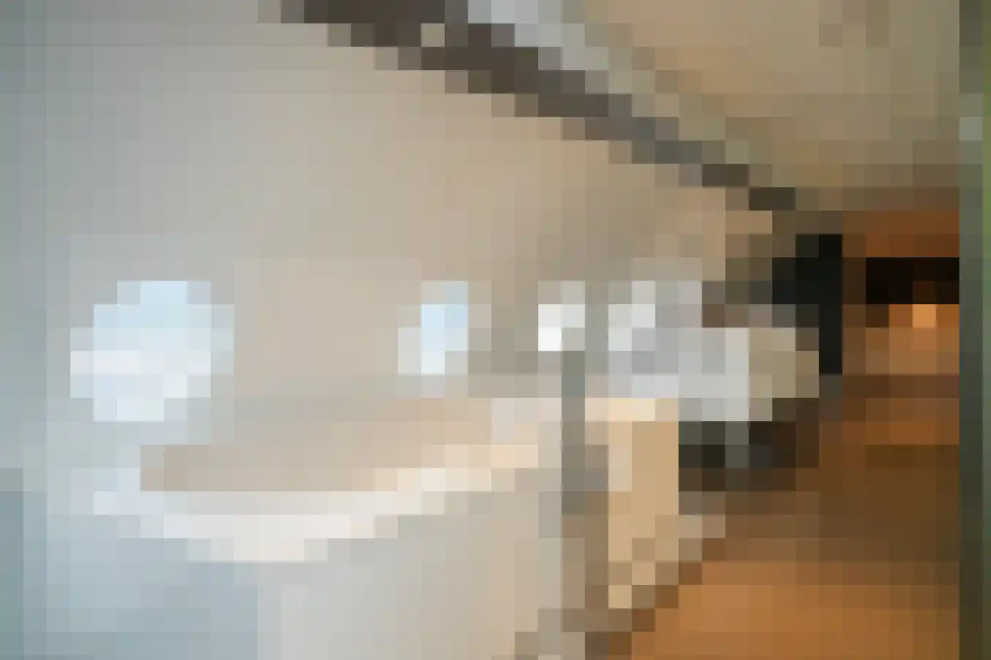 de Zanden 61 B Teuge thumbnail 10