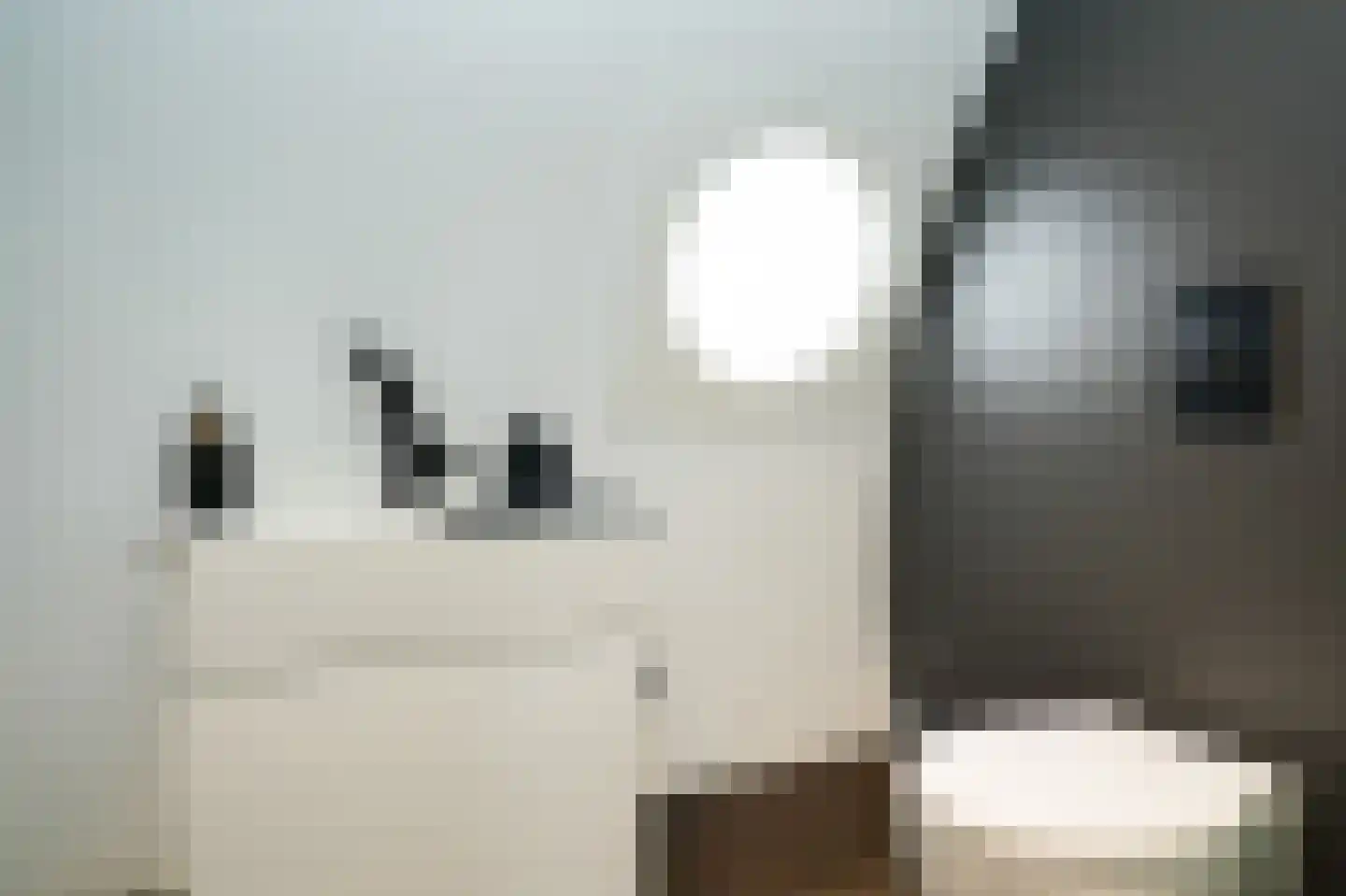 de Zanden 61 B Teuge thumbnail 14