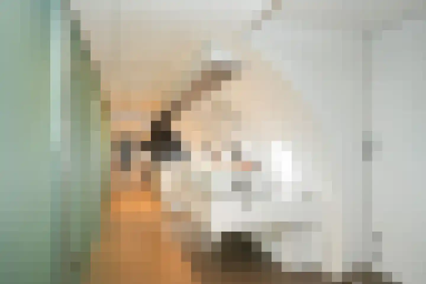 de Zanden 61 B Teuge thumbnail 18