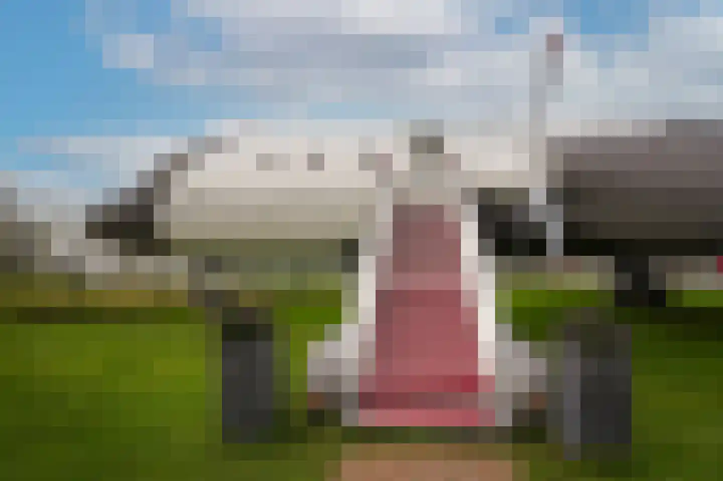 de Zanden 61 B Teuge thumbnail 6