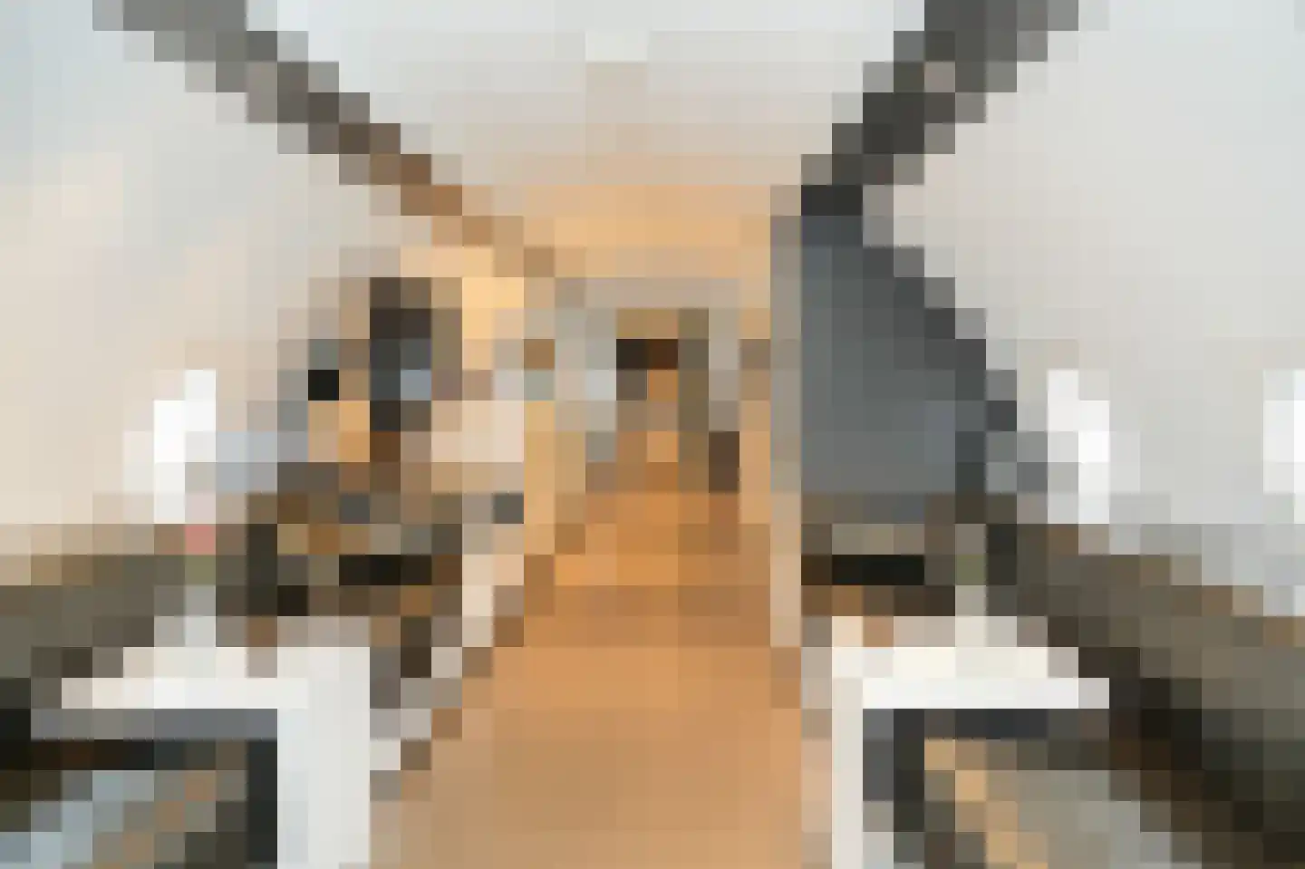 de Zanden 61 B Teuge thumbnail 7