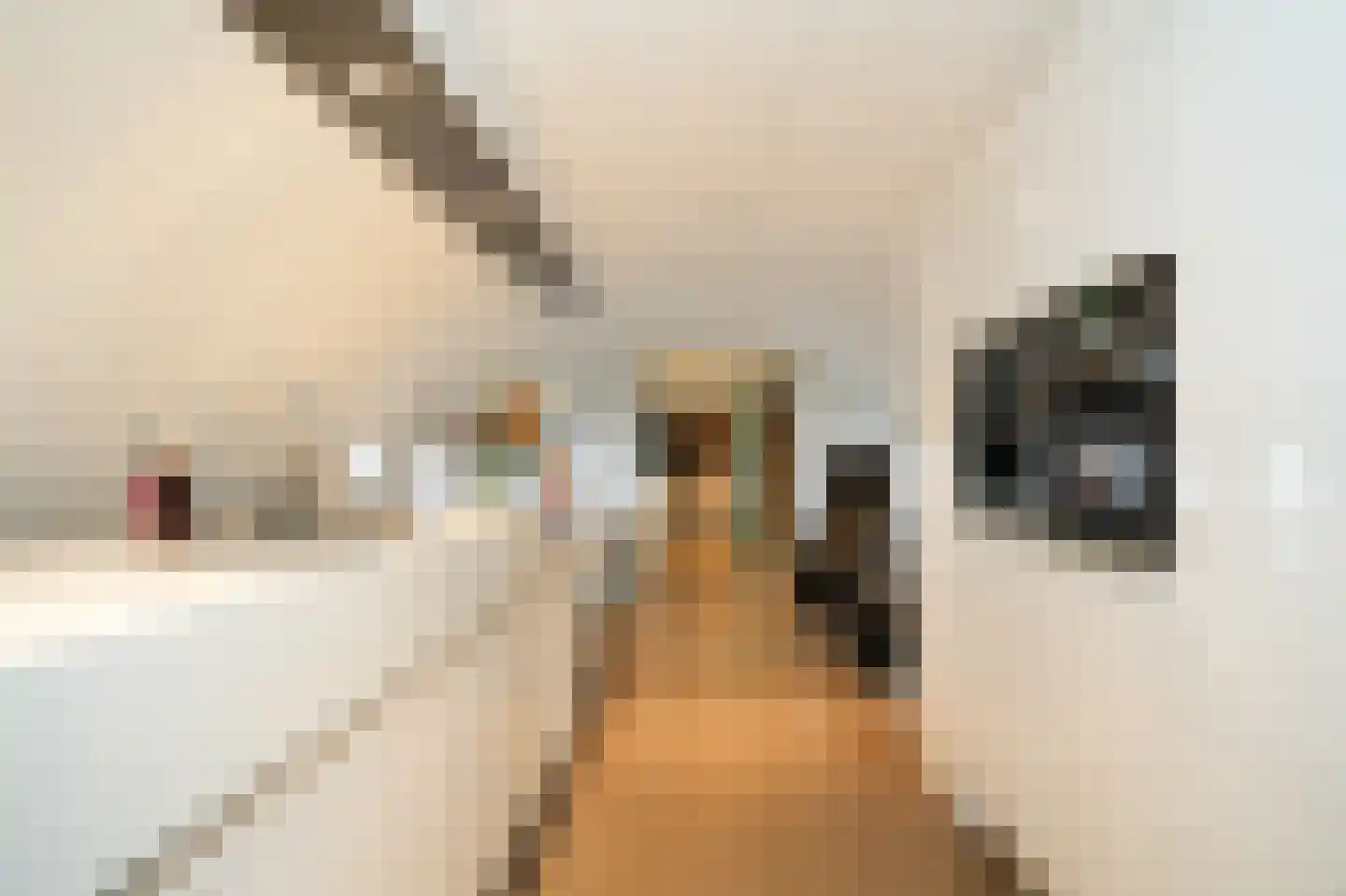 de Zanden 61 B Teuge thumbnail 8