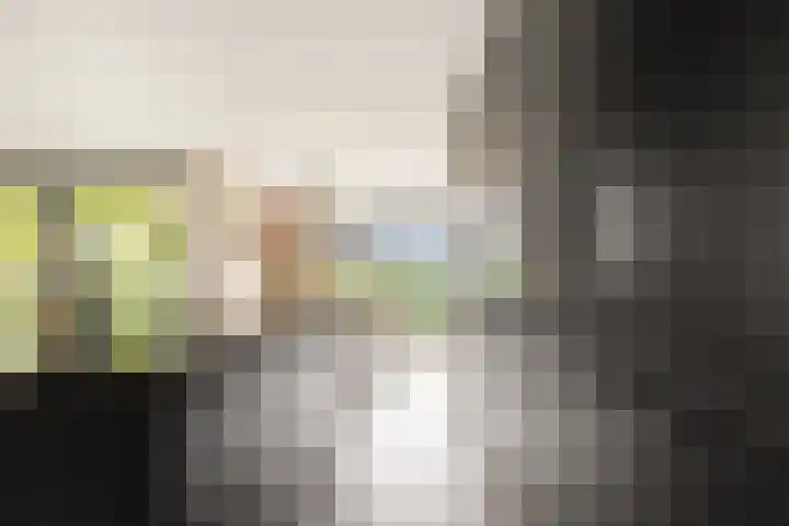 De Zanderijen 14 Beverwijk thumbnail 10