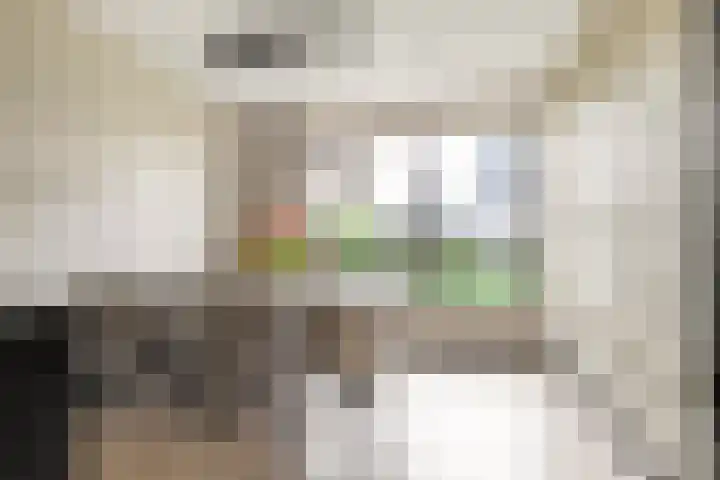 De Zanderijen 14 Beverwijk thumbnail 12