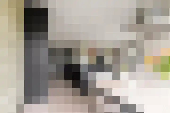 De Zanderijen 14 Beverwijk thumbnail 14
