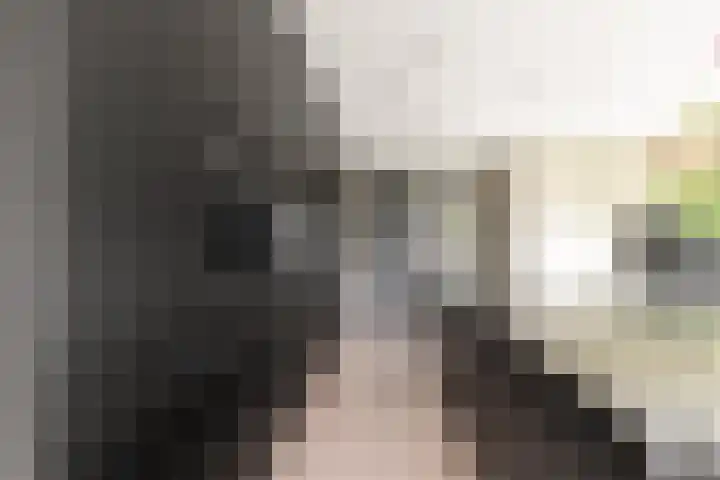 De Zanderijen 14 Beverwijk thumbnail 15
