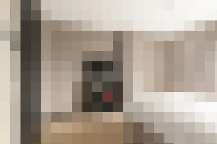 De Zanderijen 14 Beverwijk thumbnail 18