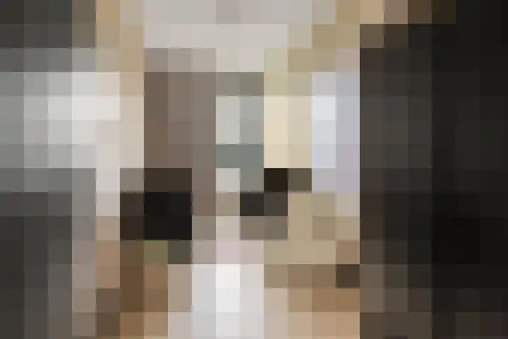 De Zanderijen 14 Beverwijk thumbnail 21