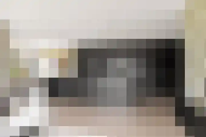 De Zanderijen 14 Beverwijk thumbnail 4