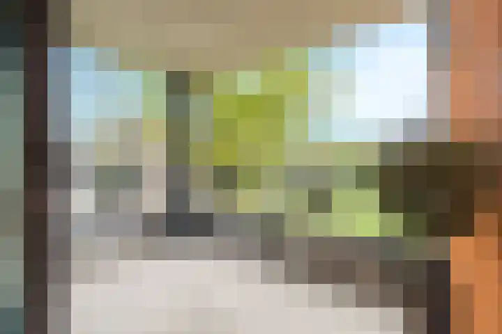 De Zanderijen 14 Beverwijk thumbnail 6