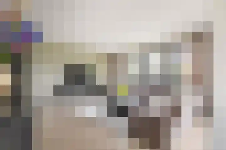 De Zanderijen 14 Beverwijk thumbnail 8