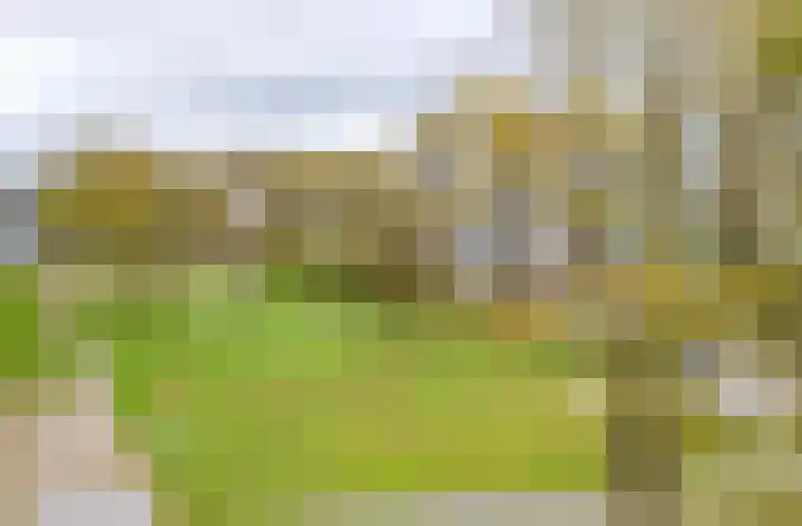 De Zanderijen 20 Beverwijk thumbnail 25