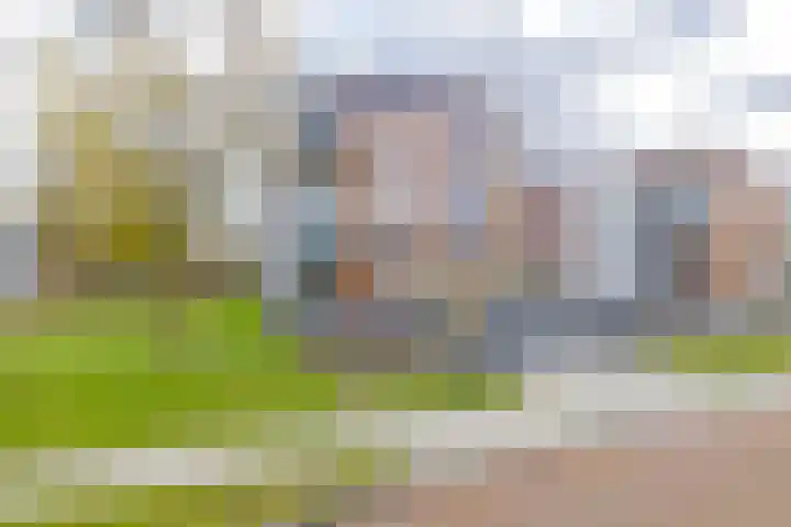De Zanderijen 20 Beverwijk thumbnail 36