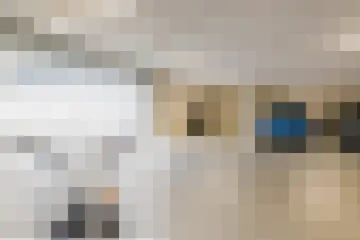 De Zanderijen 20 Beverwijk thumbnail 41