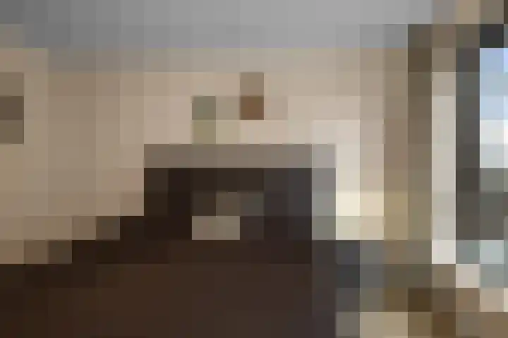 De Zanderijen 48 Beverwijk thumbnail 31
