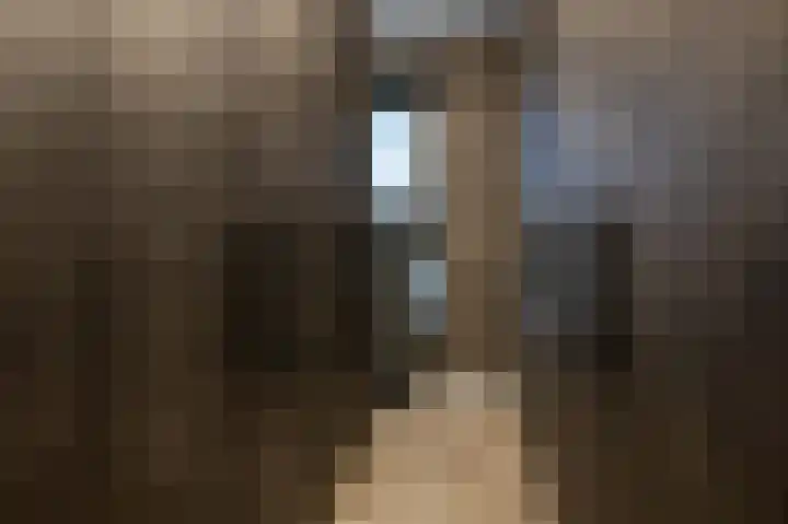 De Zanderijen 48 Beverwijk thumbnail 35