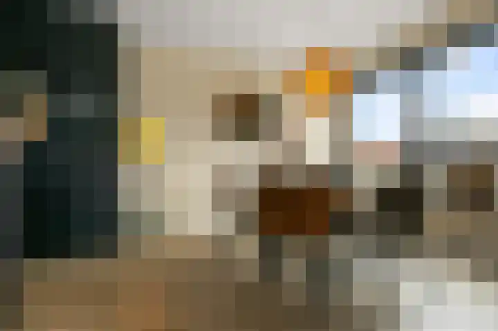De Zanderijen 48 Beverwijk thumbnail 4