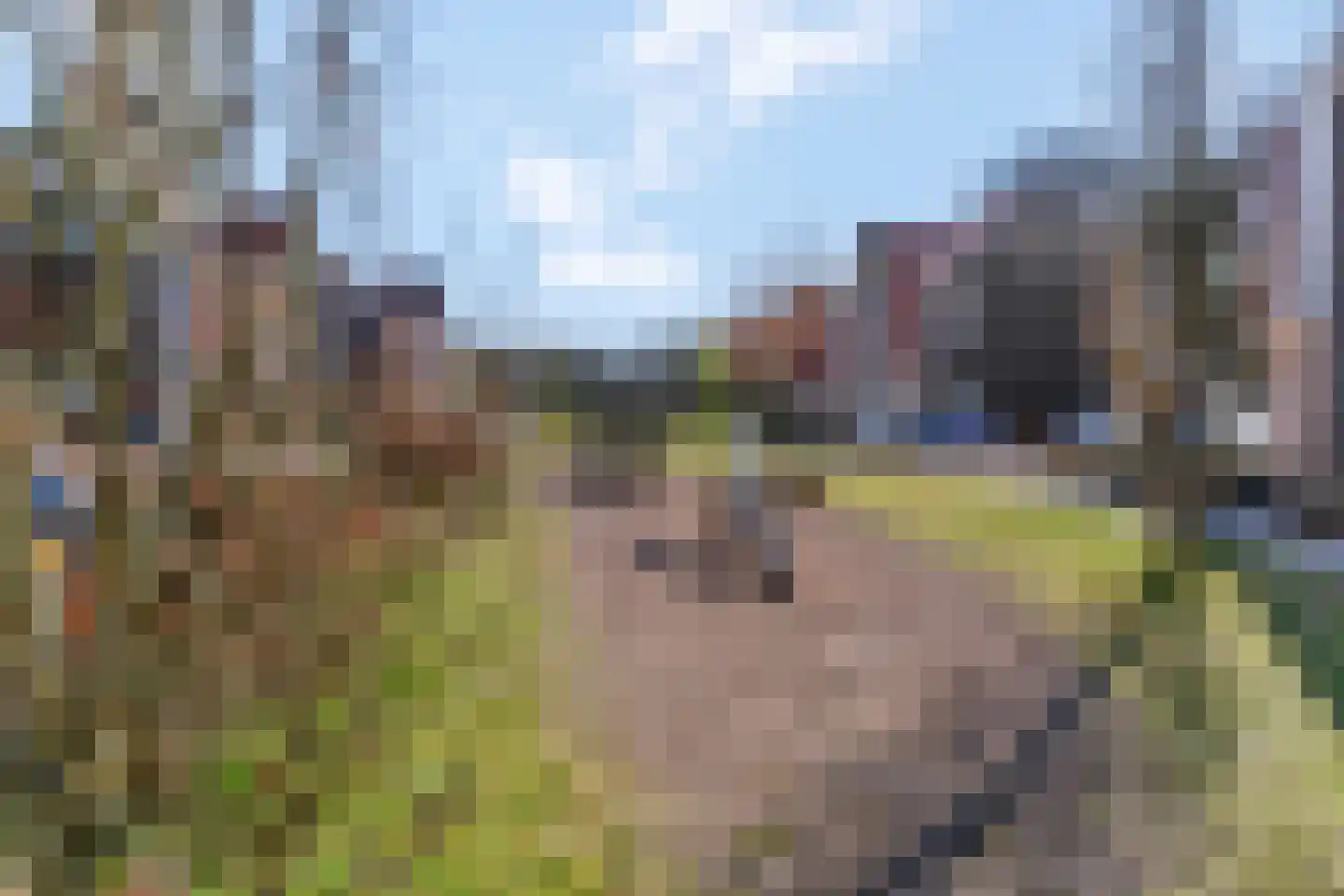 De Zandhoek 19 Otterlo thumbnail 35