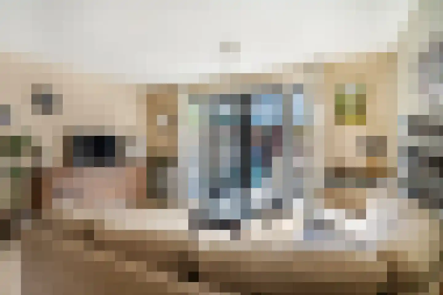De Zandhoek 19 Otterlo thumbnail 5