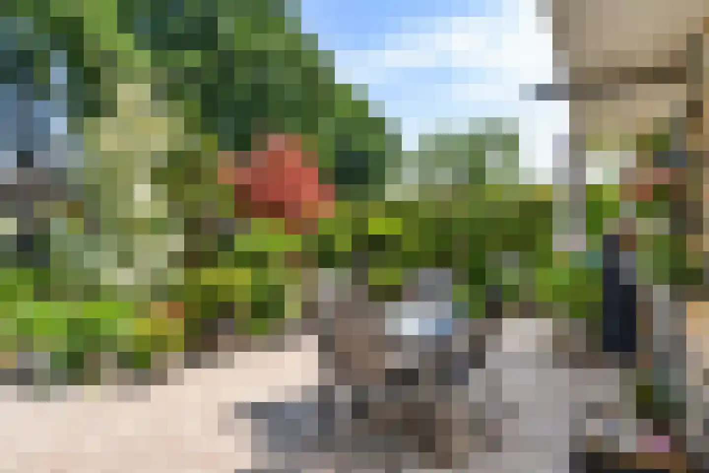 De Zandhoek 2 Otterlo thumbnail 39