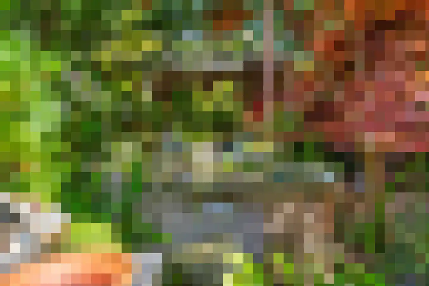 De Zandhoek 2 Otterlo thumbnail 46