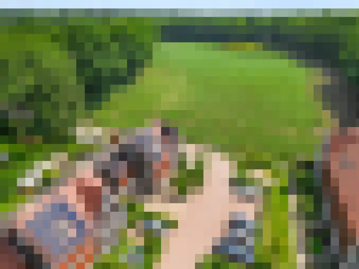 De Zandhoek 2 Otterlo thumbnail 5