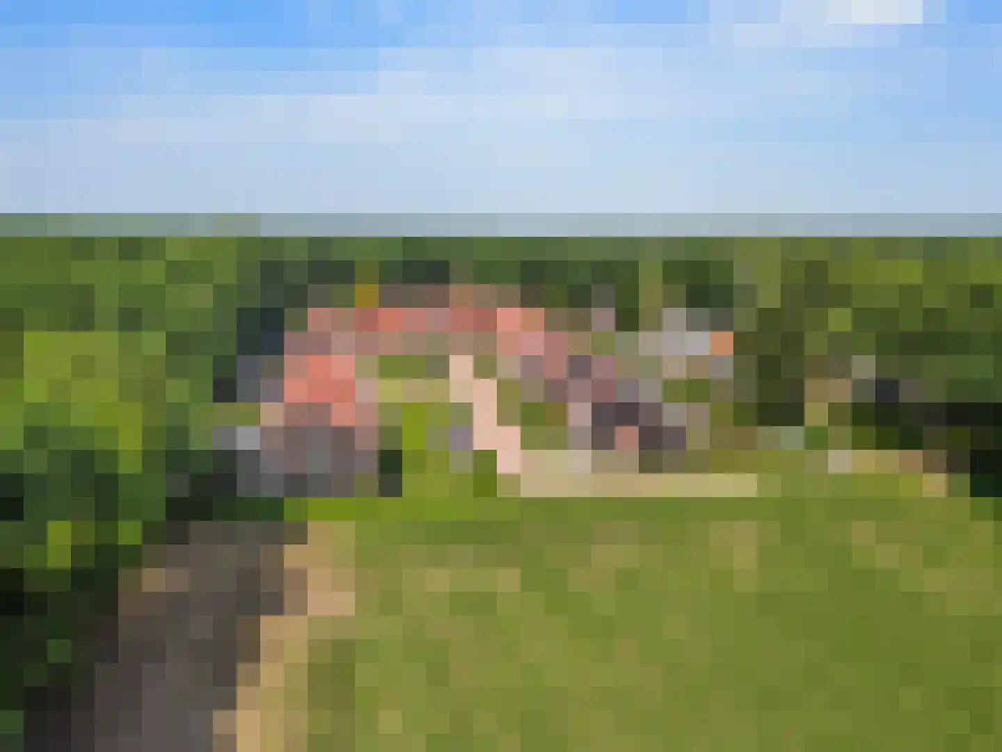 De Zandhoek 2 Otterlo thumbnail 68