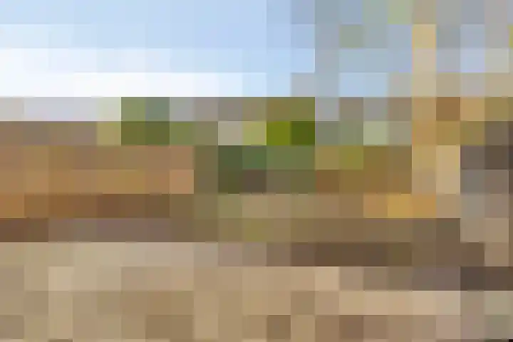 de Zandkampen 18 Zaltbommel thumbnail 29