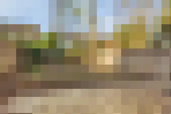 de Zandkampen 18 Zaltbommel thumbnail 30