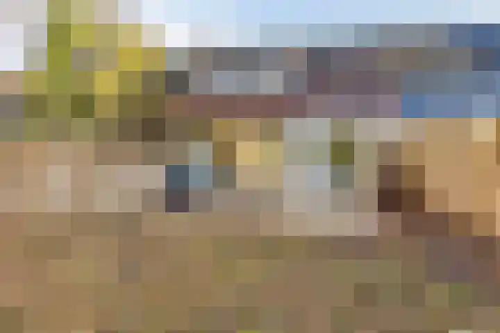 de Zandkampen 18 Zaltbommel thumbnail 31