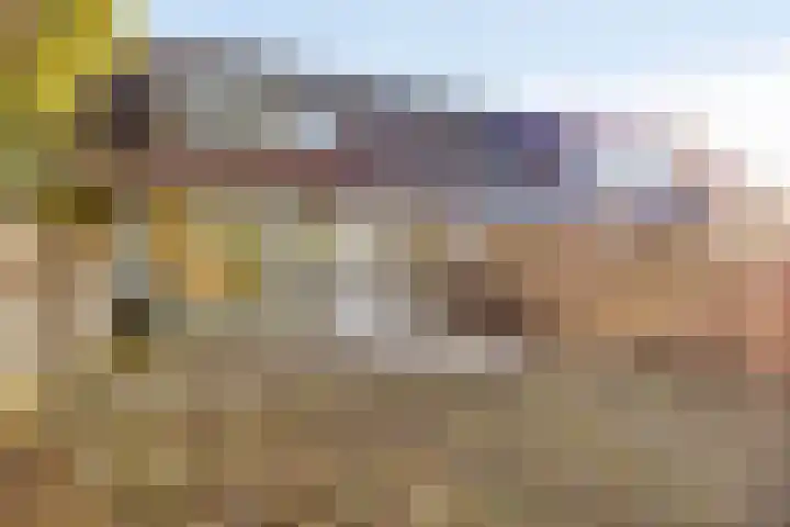 de Zandkampen 18 Zaltbommel thumbnail 32