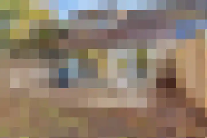 de Zandkampen 18 Zaltbommel thumbnail 33